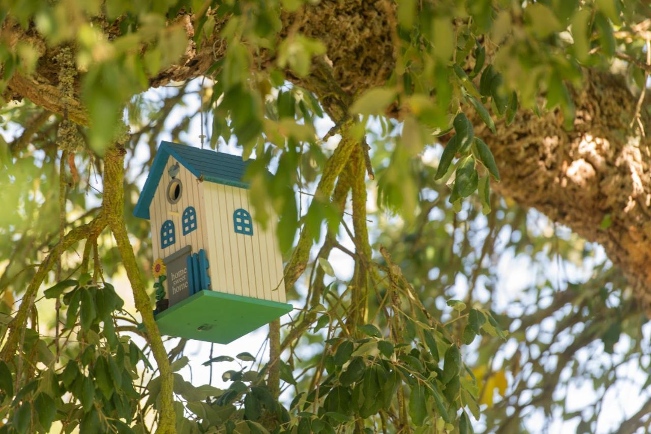 Mystay - Herdade Do Vale Da Abelheira Grândola Kültér fotó